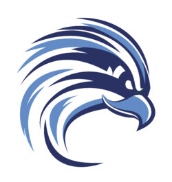 Falcons logo
